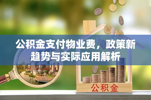 北港公积金支付物业费，政策新趋势与实际应用解析