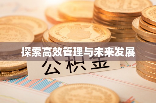 北港探索高效管理与未来发展