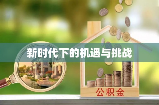 北港新时代下的机遇与挑战