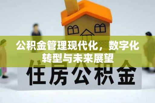 北港公积金管理现代化，数字化转型与未来展望