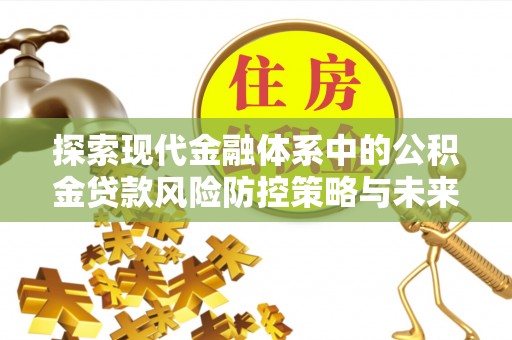 北港探索现代金融体系中的公积金贷款风险防控策略与未来发展趋势