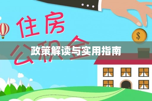 北港政策解读与实用指南