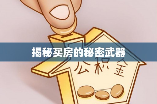 北港揭秘买房的秘密武器