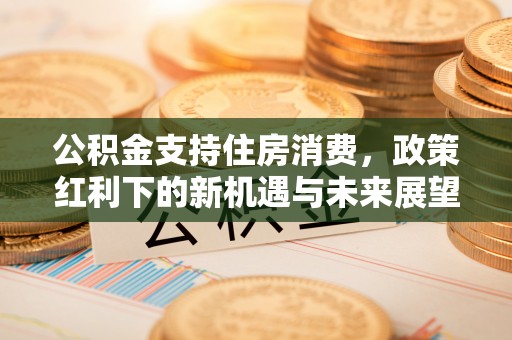 北港公积金支持住房消费，政策红利下的新机遇与未来展望