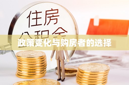北港政策变化与购房者的选择
