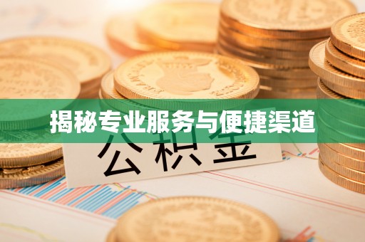 北港揭秘专业服务与便捷渠道