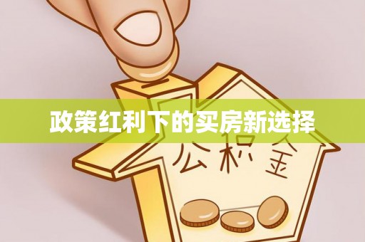 北港政策红利下的买房新选择