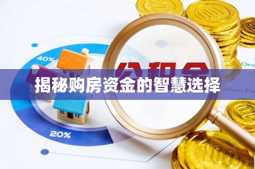 北港揭秘购房资金的智慧选择