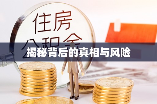 北港揭秘背后的真相与风险