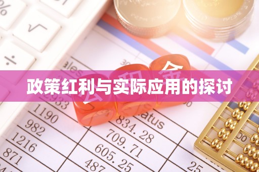 北港政策红利与实际应用的探讨