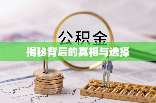 北港揭秘背后的真相与选择