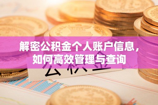 北港解密公积金个人账户信息，如何高效管理与查询