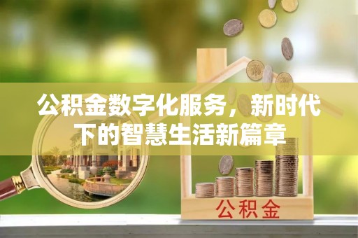北港公积金数字化服务，新时代下的智慧生活新篇章
