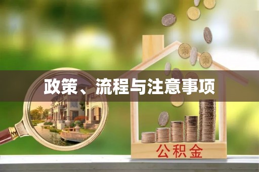 北港政策、流程与注意事项