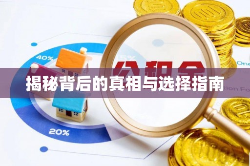 北港揭秘背后的真相与选择指南