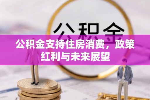北港公积金支持住房消费，政策红利与未来展望