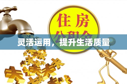 北港灵活运用，提升生活质量