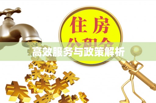 北港高效服务与政策解析