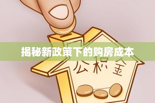 北港揭秘新政策下的购房成本
