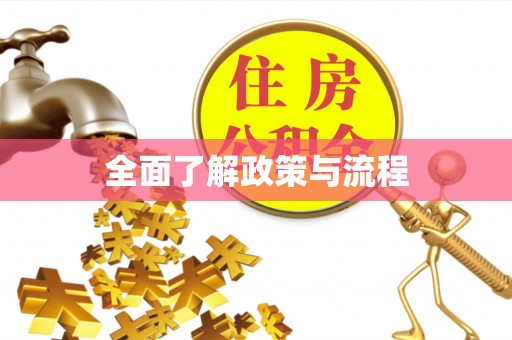 北港全面了解政策与流程