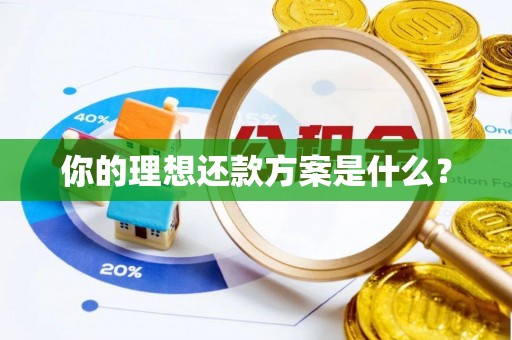 北港你的理想还款方案是什么？