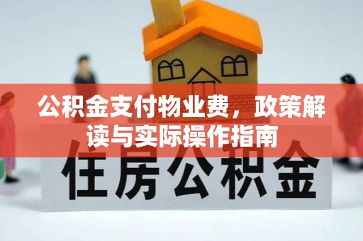 北港公积金支付物业费，政策解读与实际操作指南