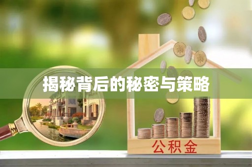 北港揭秘背后的秘密与策略