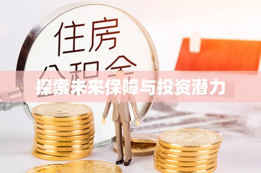 北港探索未来保障与投资潜力