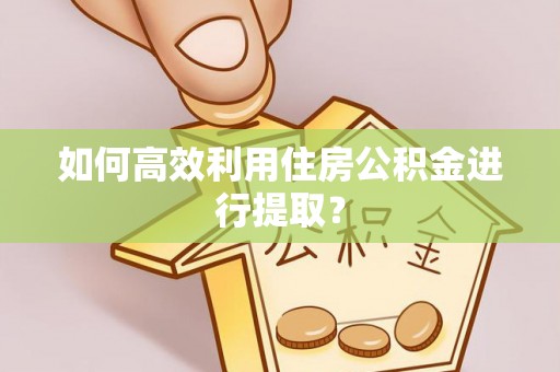 北港如何高效利用住房公积金进行提取？