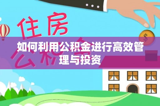 北港如何利用公积金进行高效管理与投资