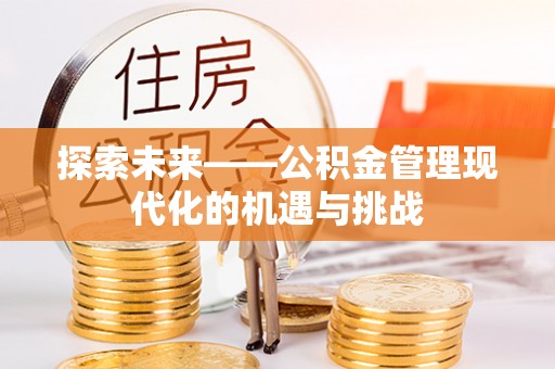 北港探索未来——公积金管理现代化的机遇与挑战