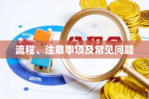 北港流程、注意事项及常见问题