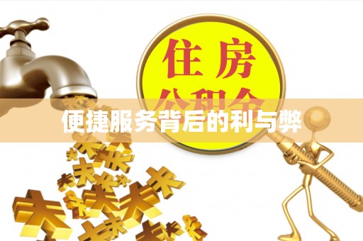北港便捷服务背后的利与弊