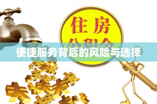 北港便捷服务背后的风险与选择