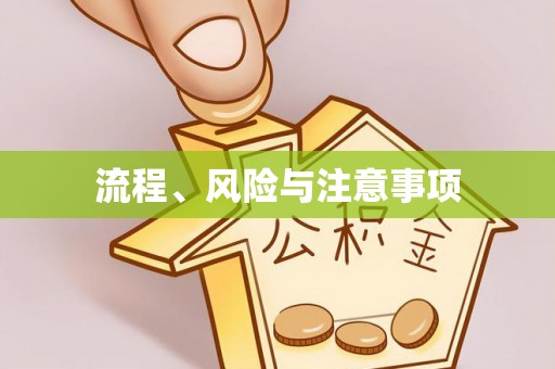 北港流程、风险与注意事项