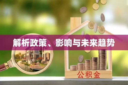 北港解析政策、影响与未来趋势
