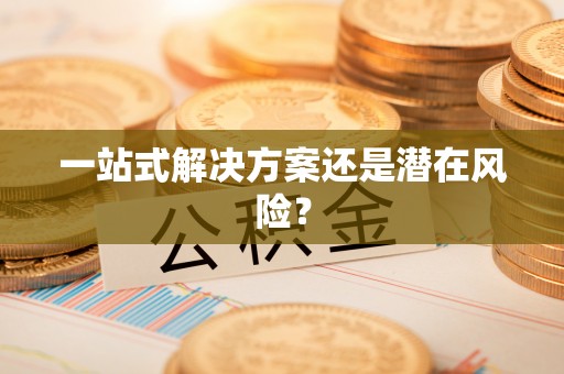 北港一站式解决方案还是潜在风险？